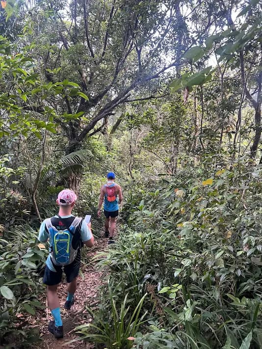 Top 5 Điều Cần Biết Khi Trekking Sơn Trà | Kinh Nghiệm An Toàn & Hiệu Quả 2026