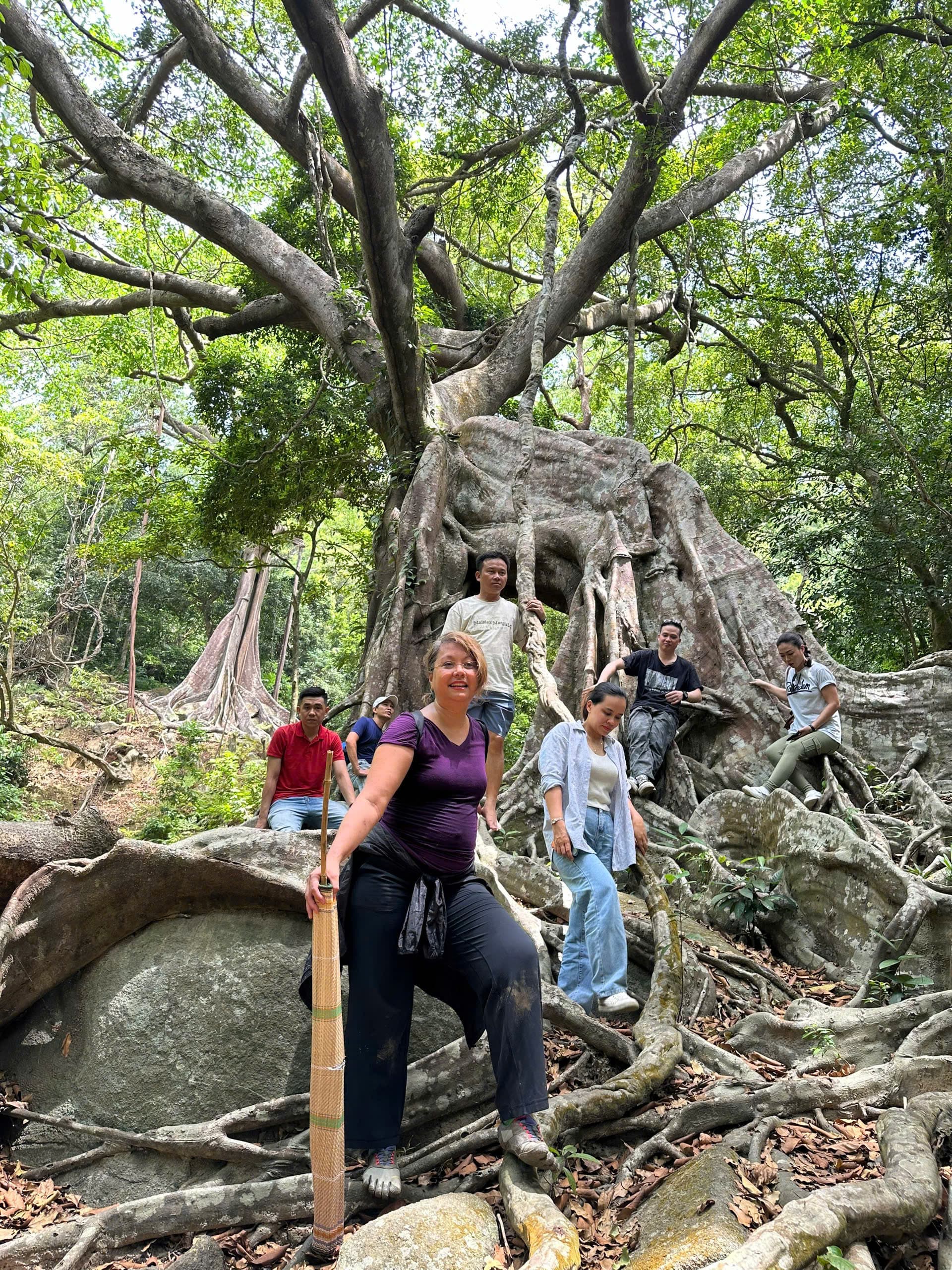 Son Tra Wildlife & Ancient Forest Discovery – Trekking Experience Under $38