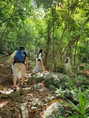 SON TRA 1-DAY TOUR: FOREST BATHING - CORAL REEF SNORKELING